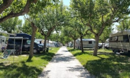 Établissement Camping Adria - Riccione
