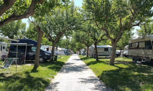 Foto #1 van Camping Adria