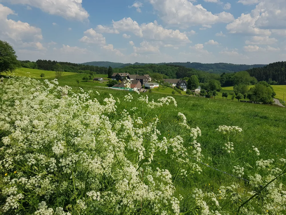 Campingpark im Bergischen Land