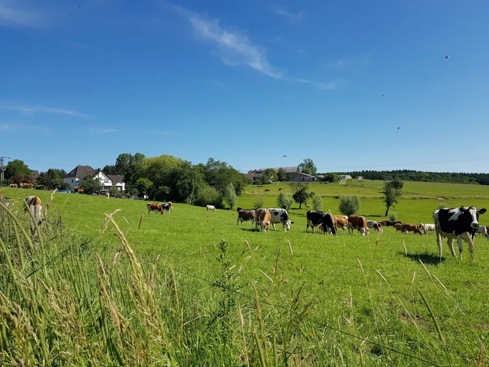 Campingpark im Bergischen Land
