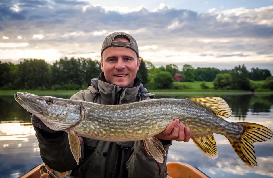 Långasjönäs Camping & Holiday Village