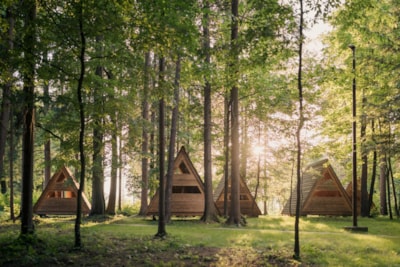 Wooden Hut Forest Bed