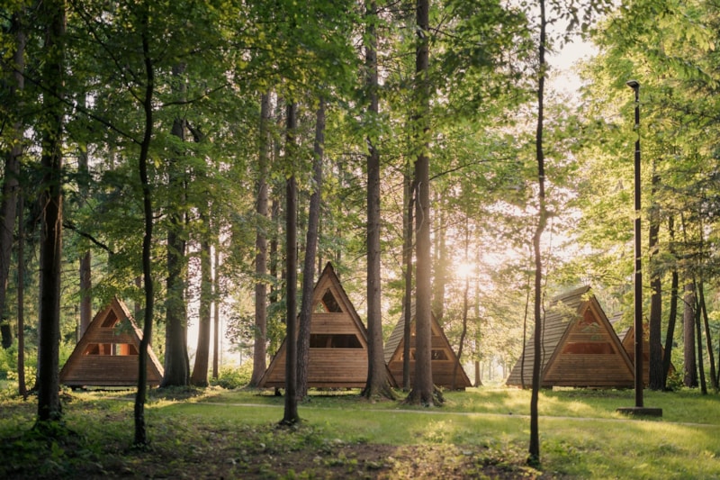 Glamping Hut Forest Bed