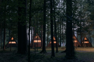 Wooden Hut Forest Bed