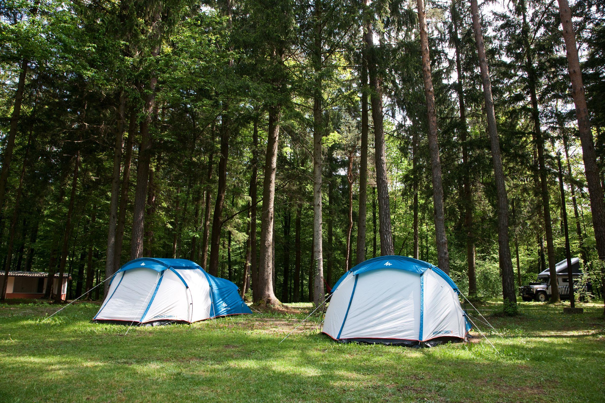 Accommodation - Tent With Bedding And Mattress - Forest Camping Mozirje