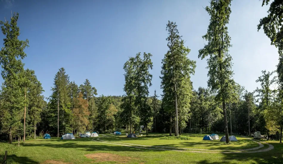 Forest Camping Mozirje