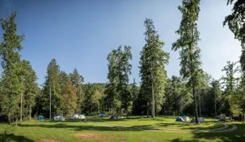 Forest Camping Mozirje - image n°2 - Camping Direct