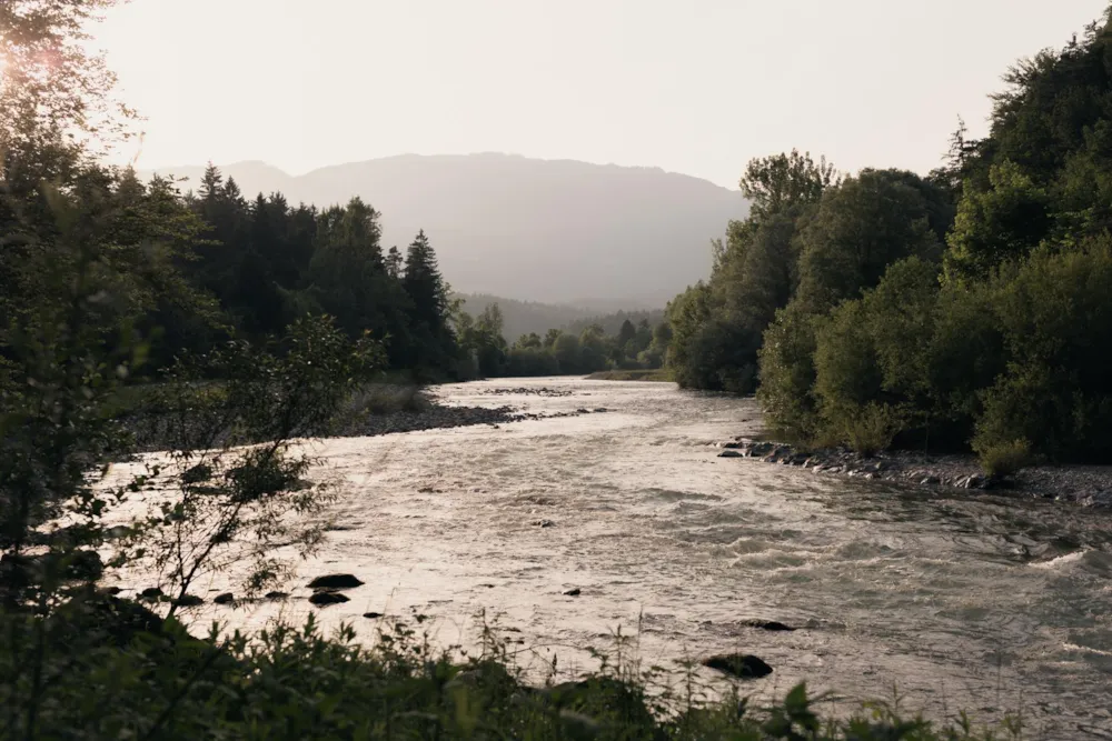 Forest Camping Mozirje