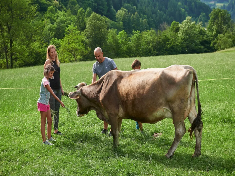 Forest Camping Mozirje