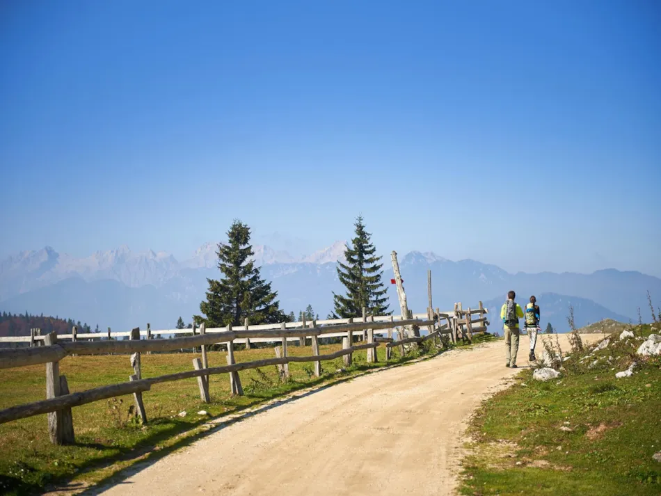 Forest Camping Mozirje