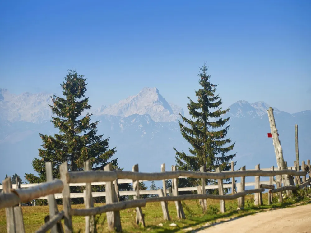 Forest Camping Mozirje