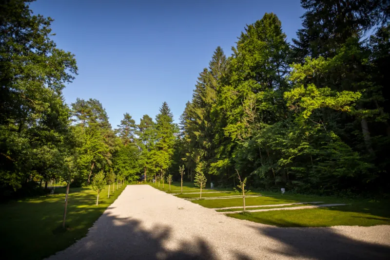 Standard Emplacement Pour Grands Campeurs / Caravanes / Tente De Toit / Van