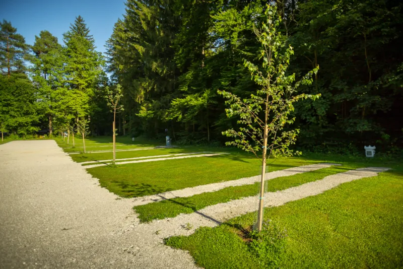 Standard Emplacement Pour Grands Campeurs / Caravanes / Tente De Toit / Van