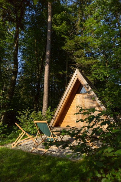 Wooden Hut Forest Bed