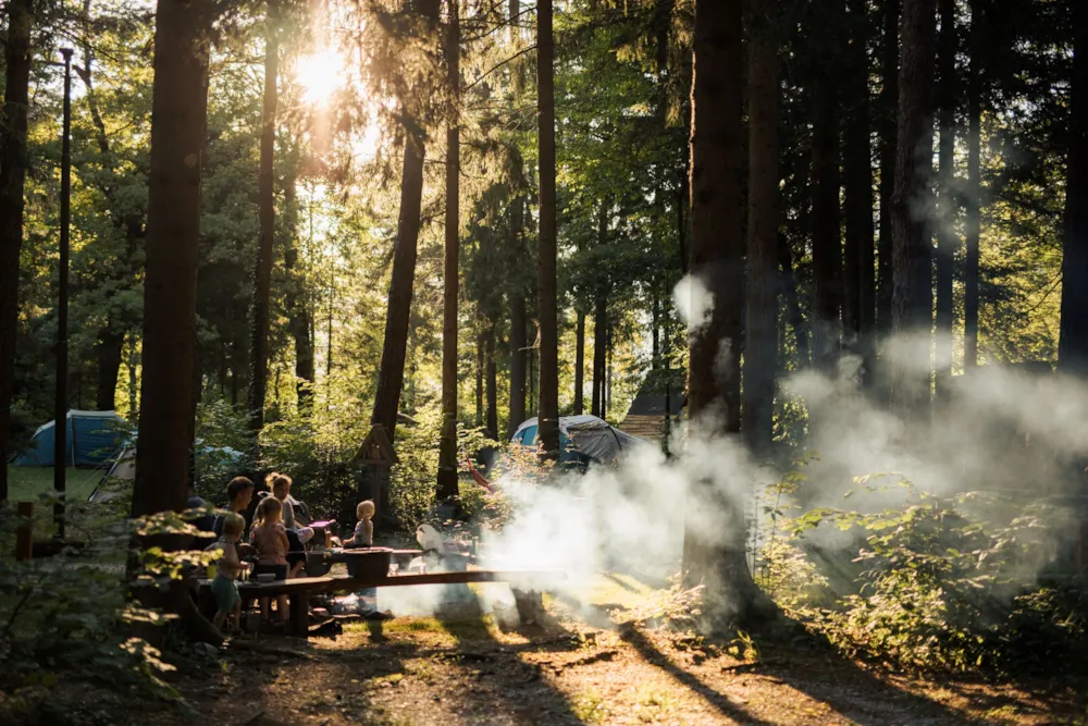 Forest Camping Mozirje