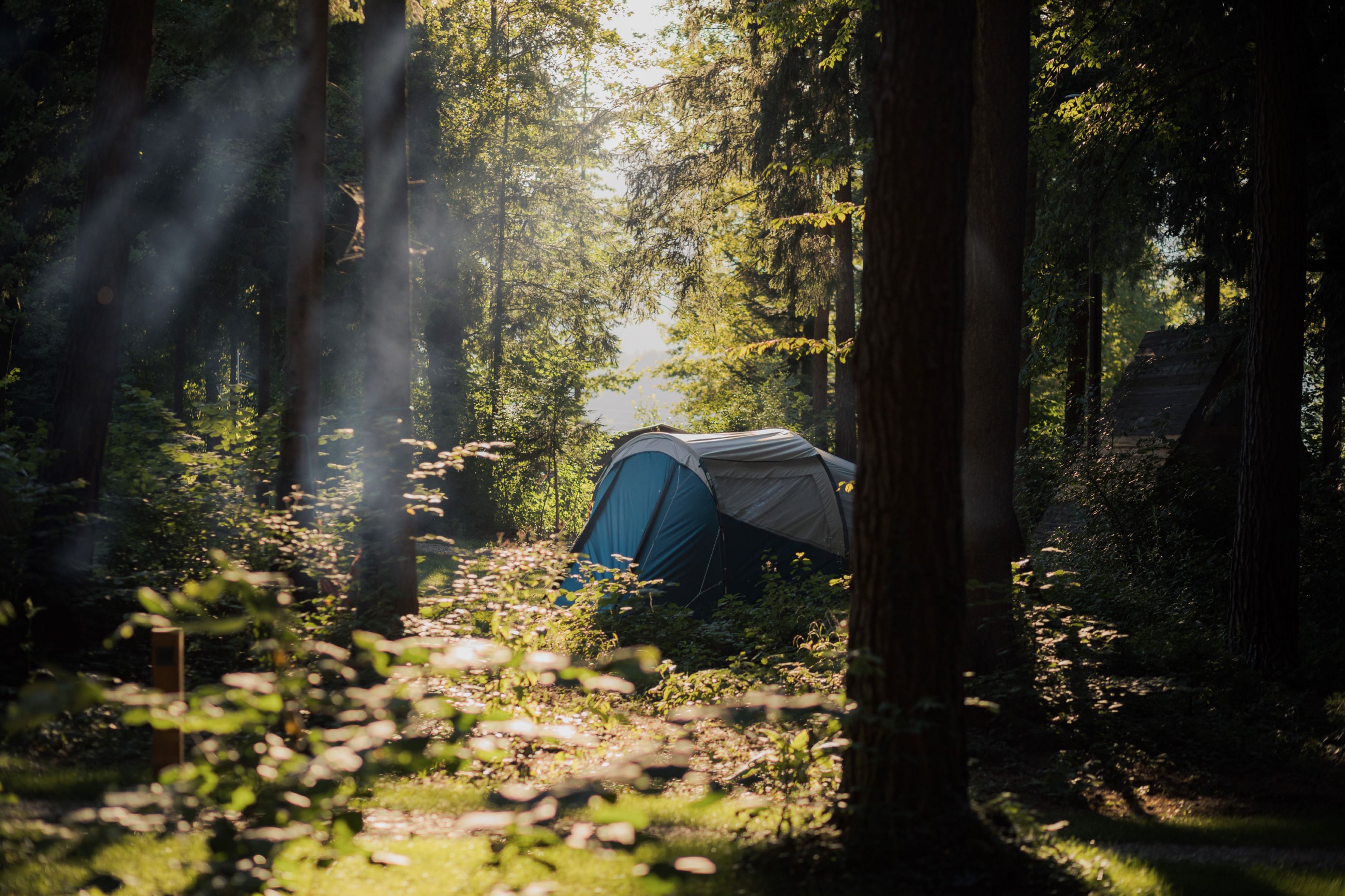 Location - Tente Avec Matelas Et Lit - Forest Camping Mozirje