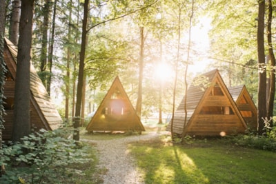 Wooden Hut Forest Bed