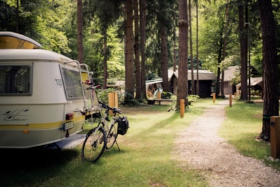 Medium pitch for a small van / roof top tent (max length 6m) - Forest area