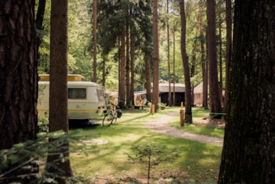 Medium pitch for a small van / roof top tent (max length 6m) - Forest area