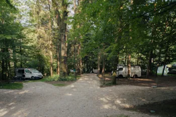 Kampeerplaats(en) - Bosplaats Voor Een Klein Busje (Max. Lengte 6M) - Forest Camping Mozirje