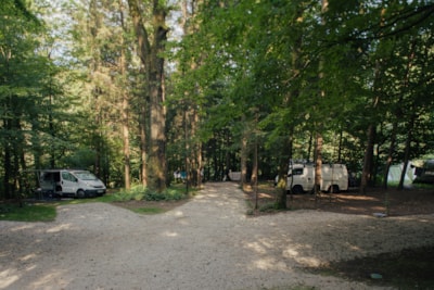 Medium pitch for a small van / roof top tent (max length 6m) - Forest area