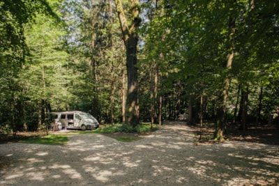 Medium pitch for a small van / roof top tent (max length 6m) - Forest area