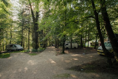 Medium pitch for a small van / roof top tent (max length 6m) - Forest area