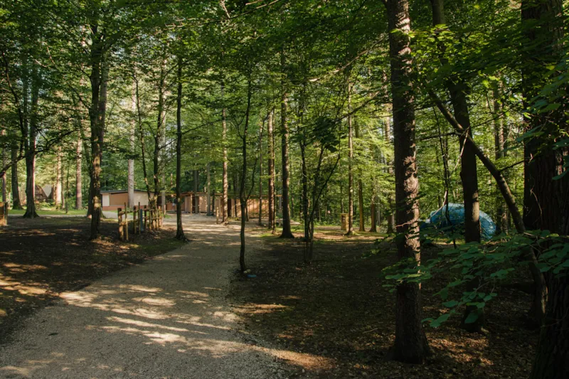 Moyen Emplacement Forestier Pour Petit Van (Longueur Maximale 6M)