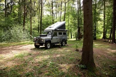 Medium pitch for a small van / roof top tent (max length 6m) - Forest area