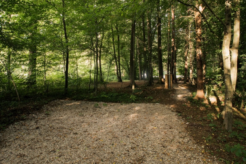 Stellplatz für ein Wohnmobil in einem kleinen Wald (maximale Länge 6m)