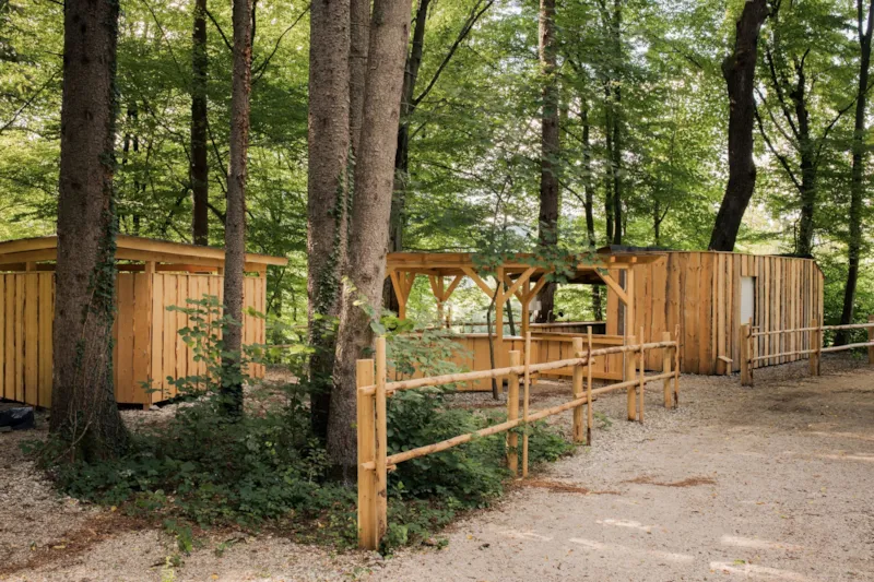 Moyen Emplacement Pour Camping-Car Dans Une Petite Forêt (Longueur Maximale 6M)