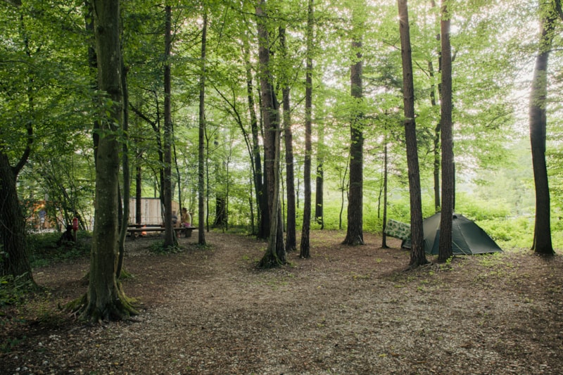 Stellplatz für ein Zelt in einem kleinen Wald