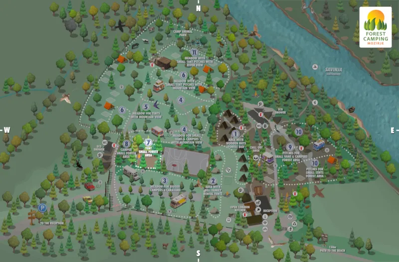 Moyen Emplacement Pour Tente Dans Une Petite Forêt