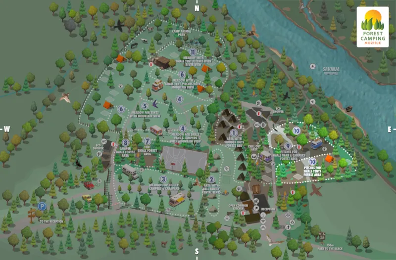 Moyen Emplacements Forestiers Pour Une Tente