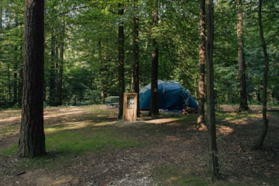 Medium pitch for a tent - Forest area