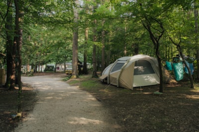 Medium pitch for a tent - Forest area