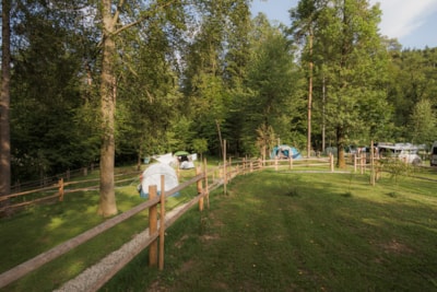 Medium pitch for a tent - River side