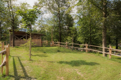 Medium pitch for a tent - River side