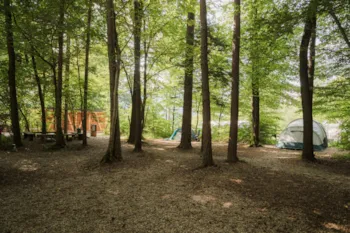 Stellplatz - Medium Stellplatz Für Ein Zelt In Einem Kleinen Wald - Forest Camping Mozirje