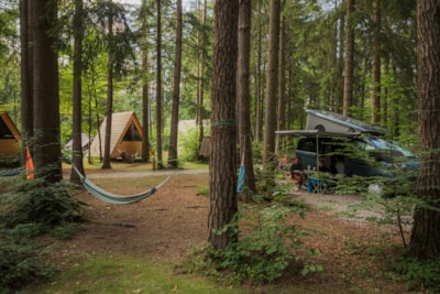 Medium pitch for a small van / roof top tent (max length 6m) - Forest area