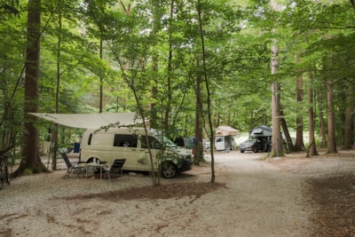 Medium pitch for a small van / roof top tent (max length 6m) - Forest area