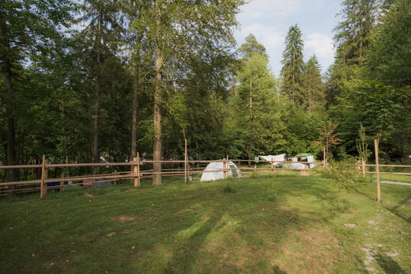 Moyen Emplacement Pour Tente - Au Bord De La Rivière