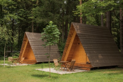 Wooden Hut Forest Bed