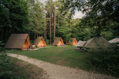 Wooden Hut Forest Bed