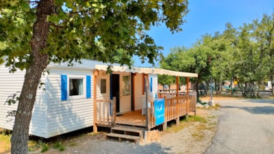 TEXAS ECO