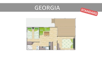 GEORGIA. STANDARD