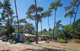 Kampeerplaats(en) - Standplaats Confort + Voertuig + Tent Of Caravan + Elektriciteit - Flower Camping Monplaisir