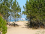 Foto #39 van Flower Camping Monplaisir