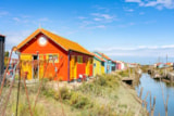 Foto #40 van Flower Camping Monplaisir