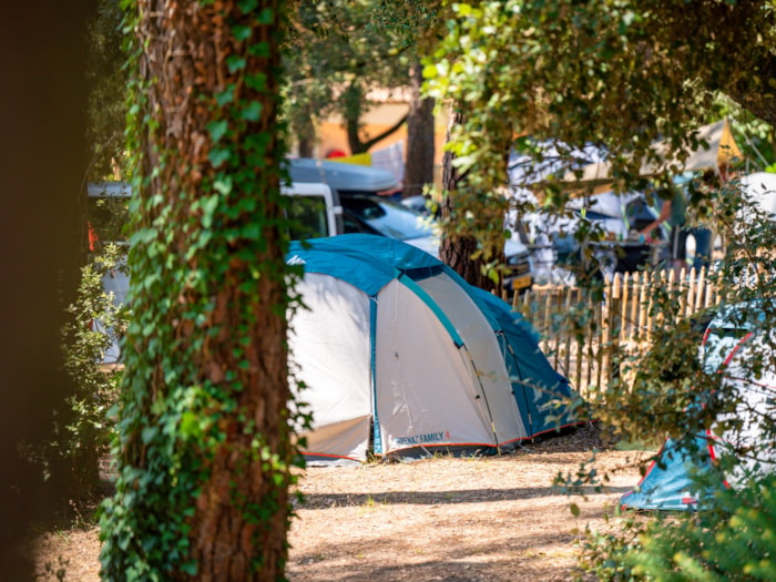 Forfait Confort : Tente, Caravane Ou Camping-Car / 1 Voiture / Électricité